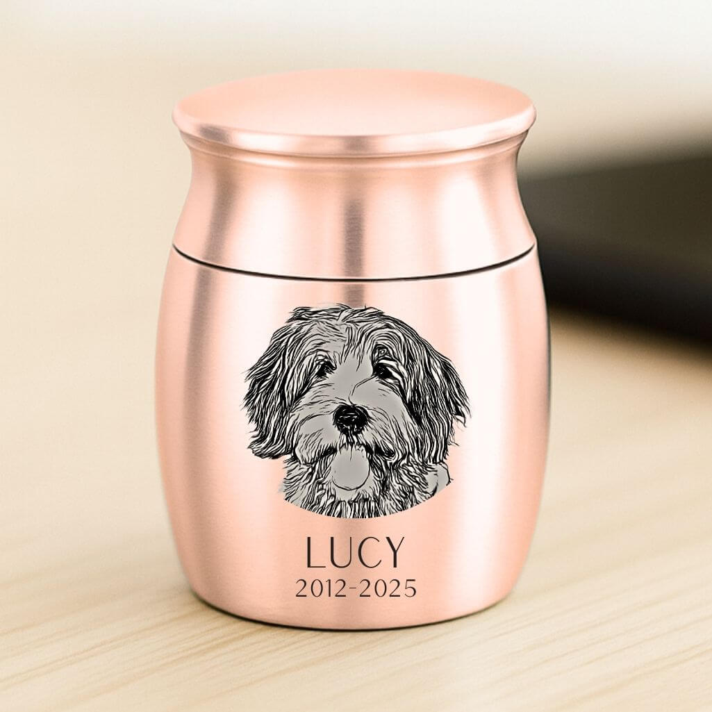 Gepersonaliseerde mini-urn voor honden - met gegraveerde afbeelding, naam en data als herinnering