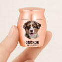 Gepersonaliseerde mini-urn voor honden – met gegraveerde foto, naam en data als herinnering