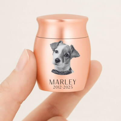 Gepersonaliseerde mini-urn voor honden – met...