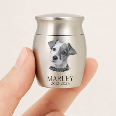 Gepersonaliseerde mini-urn voor honden – met...
