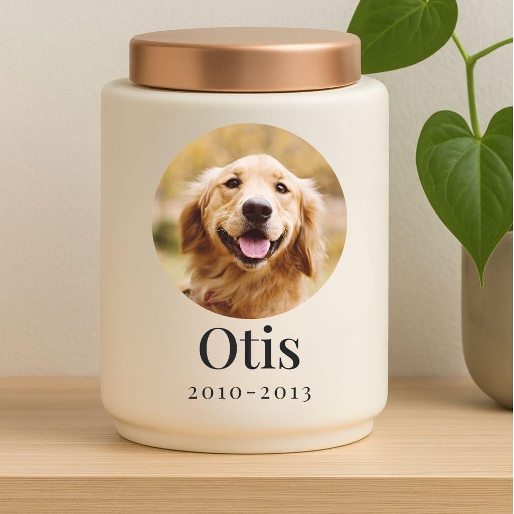 Personalised Ceramic Dog Urn with Photo in a Heartfelt Halo Frame –  Pet Cremation Urn for Ashes with Name, Dates & Stainless St