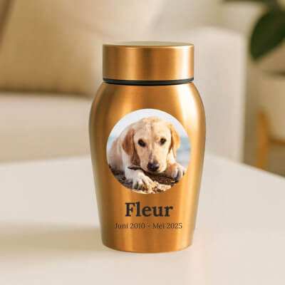 Personalised Dog Urn with Photo in a Heartfelt...