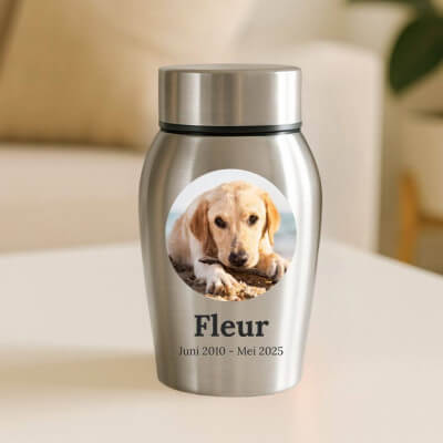 Gepersonaliseerde RVS hondenurn - met naam,...