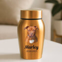 Personalised Dog Urn with Photo – Engraved Stainless Steel Memorial Urn with Name & Dates