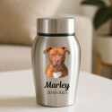 Personalised Dog Urn with Photo – Engraved Stainless Steel Memorial Urn with Name & Dates