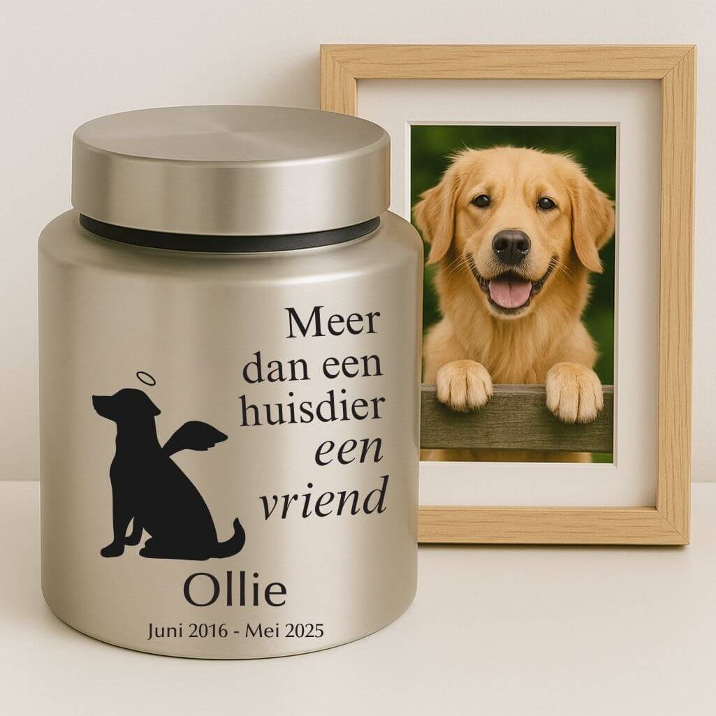 Personalised Dog Urn with Angel Pup Design – Engraved Stainless Steel Memorial Urn  with Name, Dates & Special Tribute
