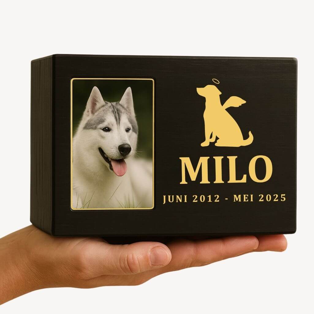Personalised Black Wooden Dog Urn with Photo – Custom Memorial Box with Angel Icon, Name & Dates
