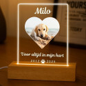 Personalised Dog Memorial Light with Photo – Rectangular LED Pet Tribute Lamp with Engraved Name & Dates on Acrylic Plaque
