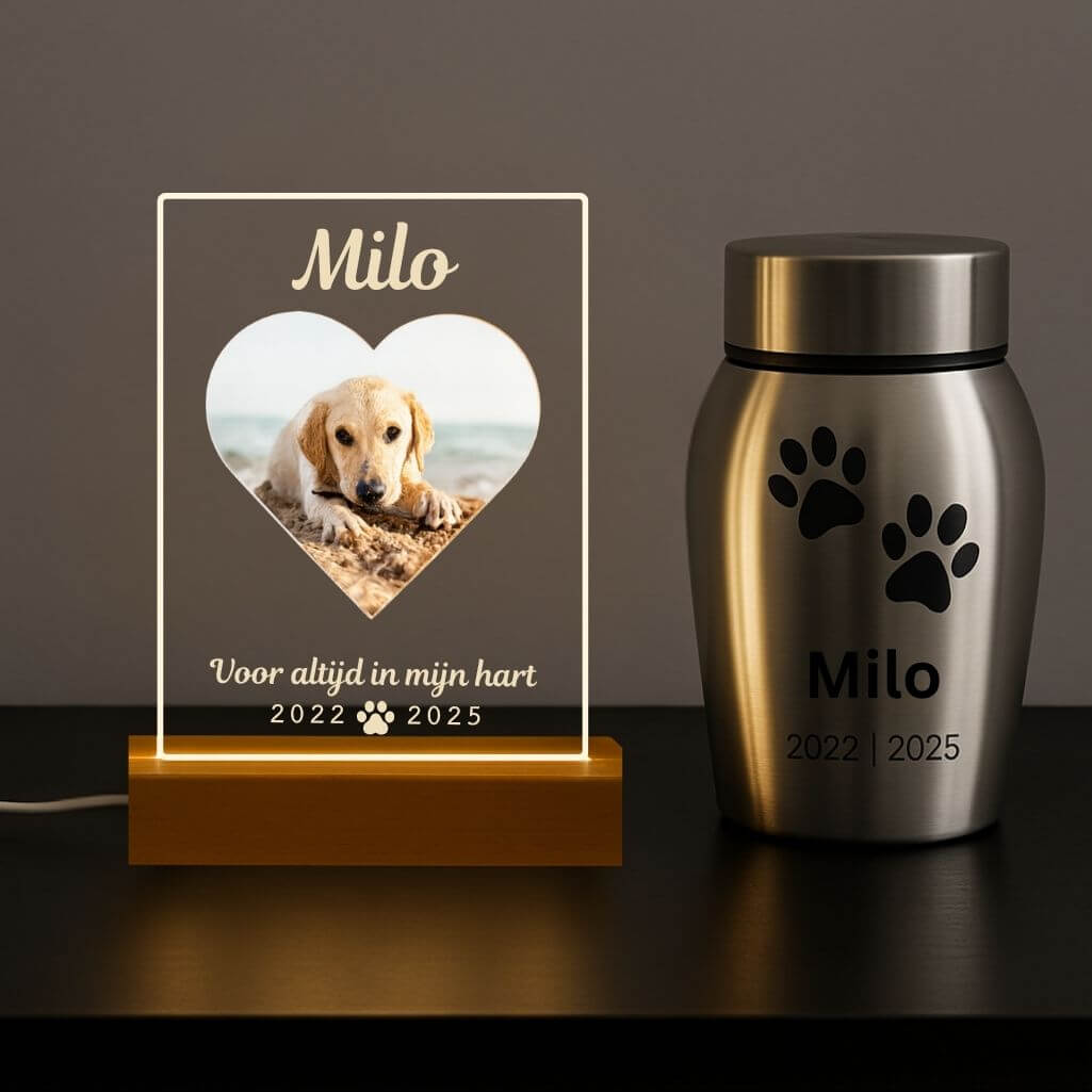 Personalised Dog Memorial Light with Photo – Rectangular LED Pet Tribute Lamp with Engraved Name & Dates on Acrylic Plaque