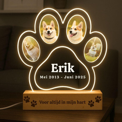 Personalised Dog Memorial Light with Four...
