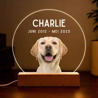 Personalised Dog Memorial Light with Photo –...