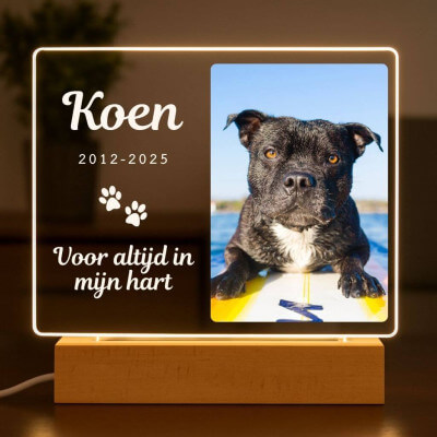 Personalised Dog Memorial Light with Photo –...