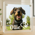 Personalised Acrylic Dog Memorial Frame – Custom Pet Photo Plaque with Name & Heart Paw Design