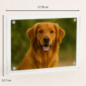 Acrylic Dog Memorial Frame – Rectangle Custom Pet Photo Plaque